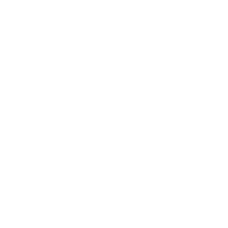 研修同行